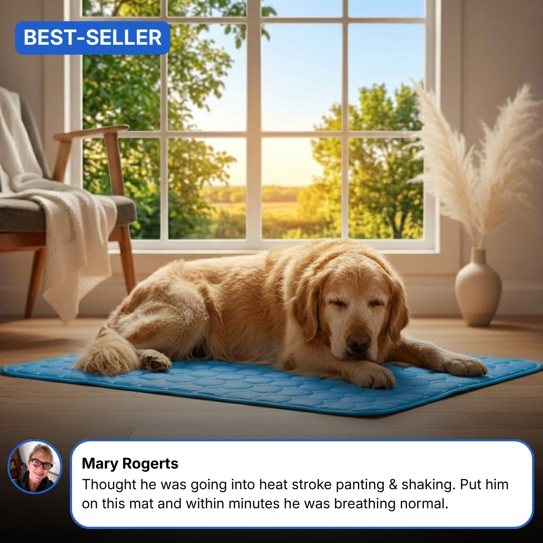 Dog Cooling Mat