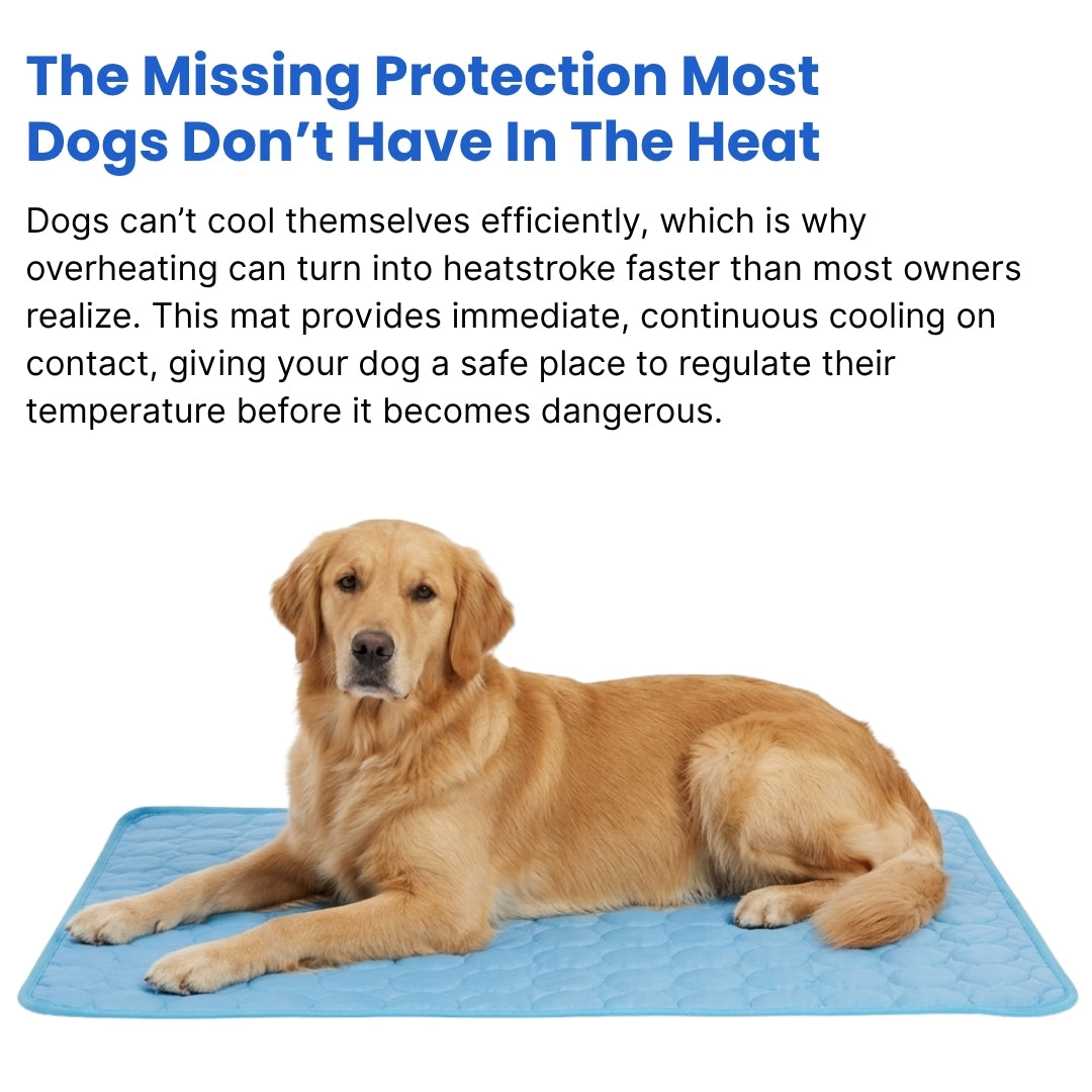 Dog Cooling Mat