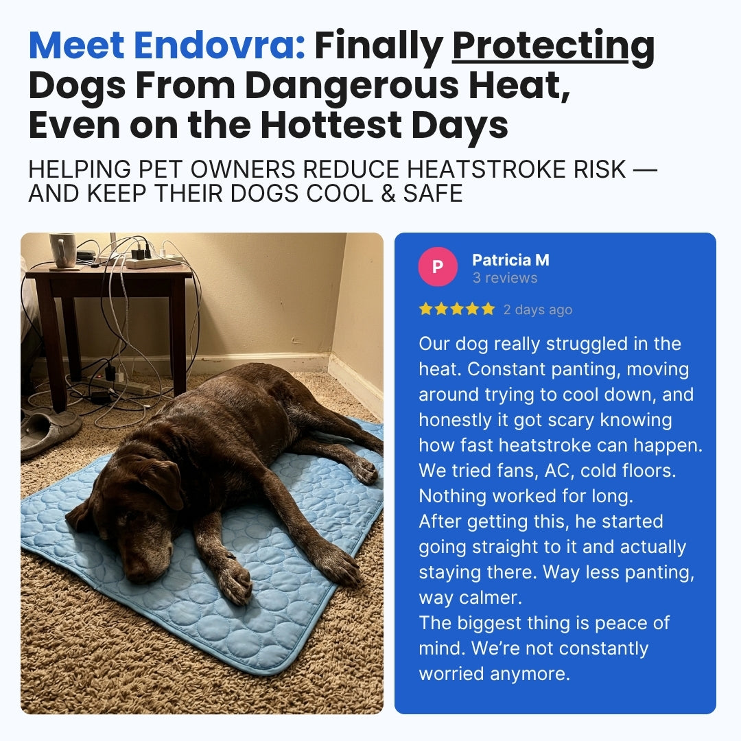 Dog Cooling Mat