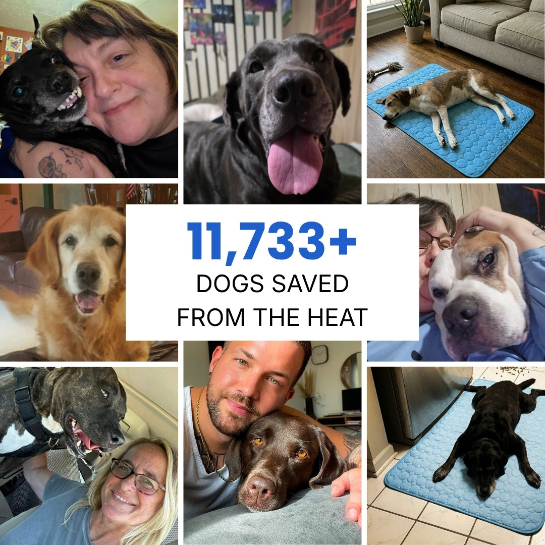 Dog Cooling Mat