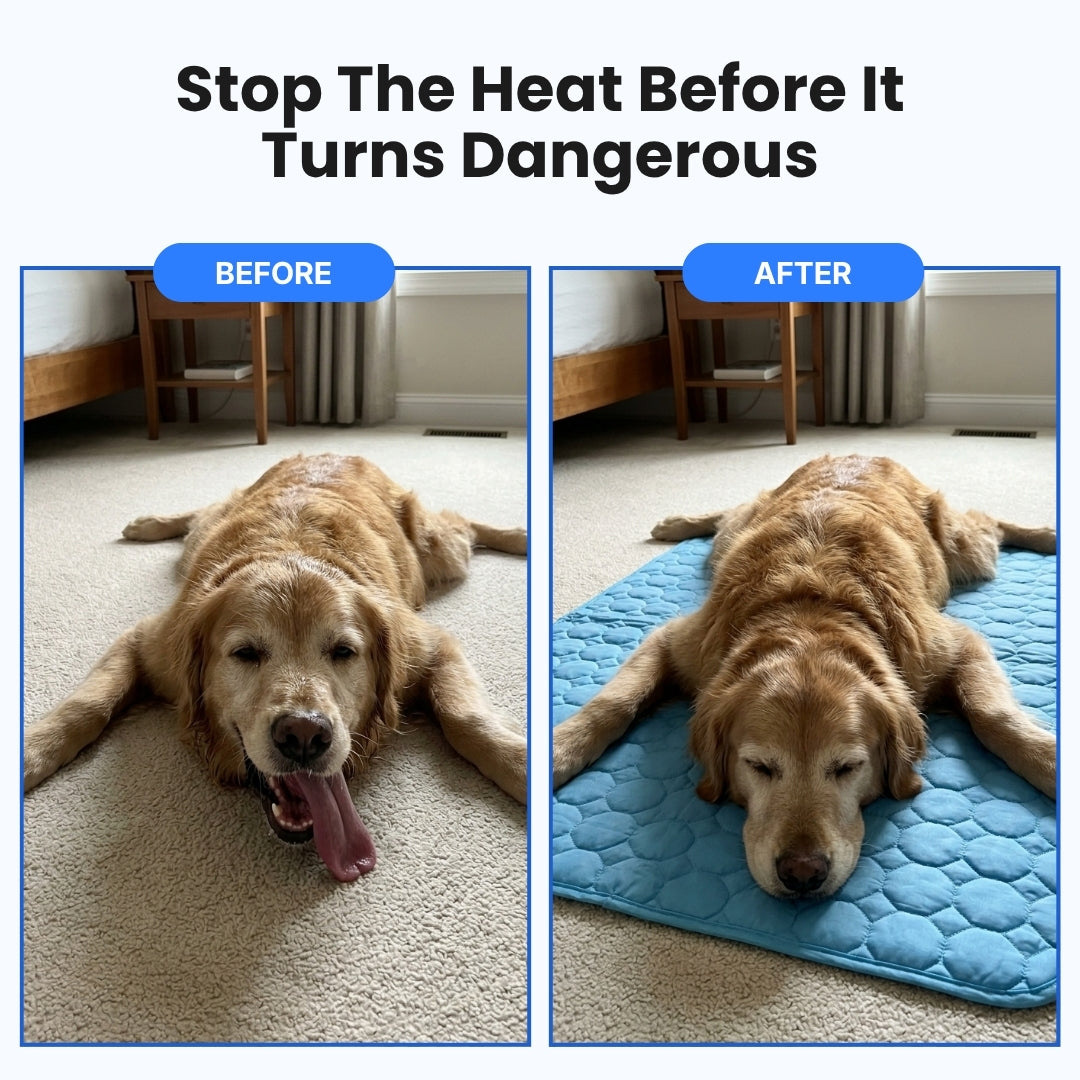 Dog Cooling Mat