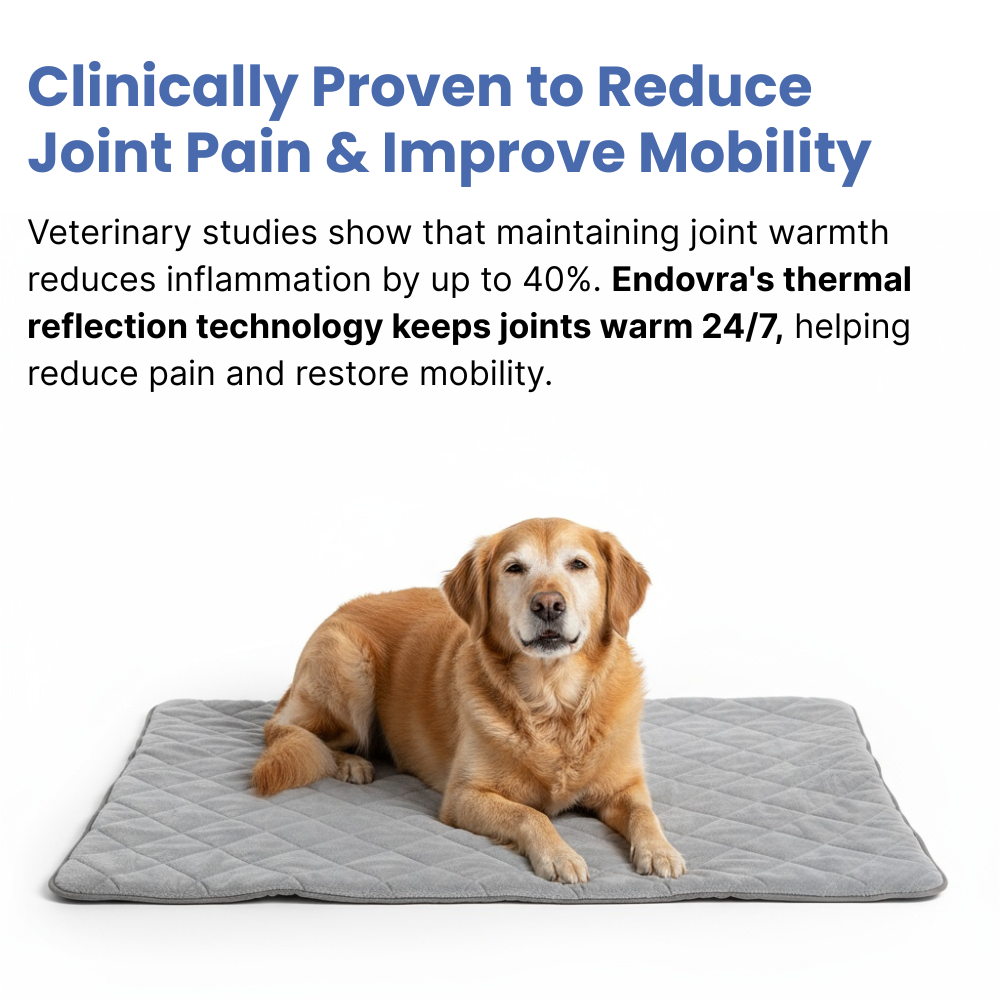 Thermal Joint Relief System