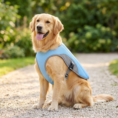 Dog Cooling Vest